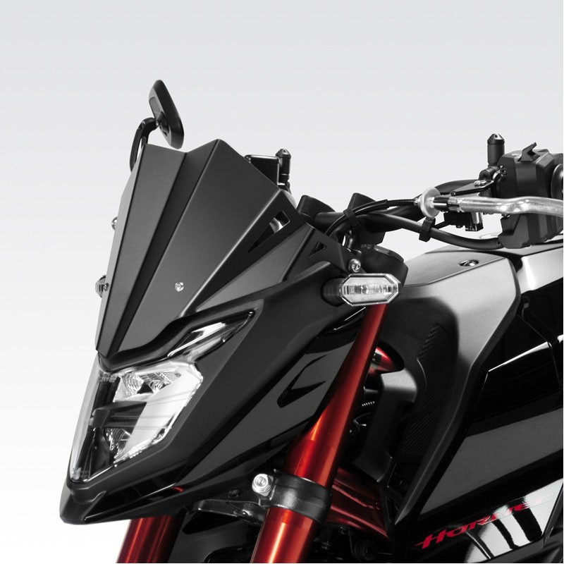 R-0769 : DPM Windshield Honda Hornet CB750